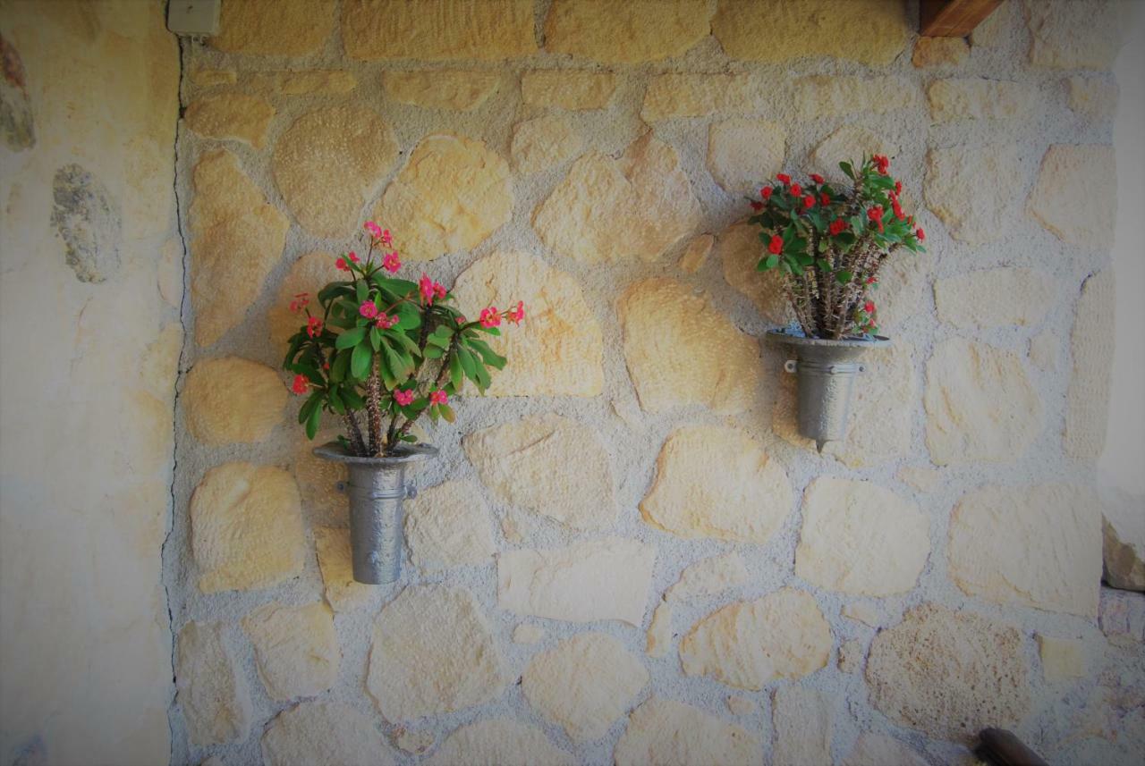Olive Villas Kría Vrísi Exteriér fotografie
